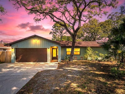 /international/us/1505-michigan-avenue-palm-harbor-fl-110107240712/