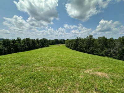 /international/us/-upper-nicut-road-lefthand-wv-110100985809/?lang=zh-tw
