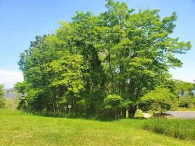 /international/us/old-channel-trail-lot-3-montague-mi-110102495514/