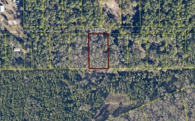 /international/us/lt-61-188th-pl-live-oak-fl-110105785223/