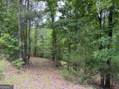 /international/us/bramlett-cr-lot-52-elberton-ga-110108031106/