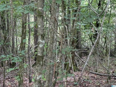 /international/us/0-eastview-avenue-hokes-bluff-al-110100500010/?lang=zh-tw
