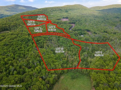 /international/us/10-galway-road-windham-ny-110100260092/