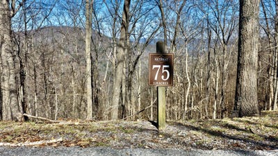 /international/us/white-rock-trail-lot-75-caldwell-wv-110106961011/
