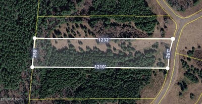 /international/us/white-creek-drive-deer-lodge-tn-110119345091/