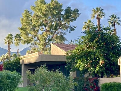 /international/us/73323-boxthorn-lane-palm-desert-ca-110107631510/