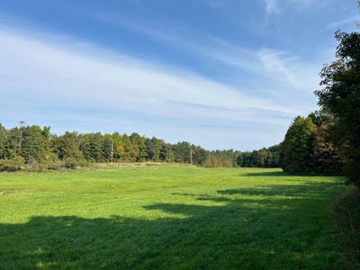 /international/us/36432-county-route-22-antwerp-ny-110102424677/
