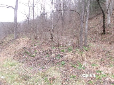/international/us/3675-anawalt-ridge-rd-anawalt-wv-110104781629/