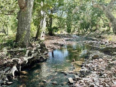 /international/us/125-deep-creek-ranch-road-glenwood-nm-110104269755/
