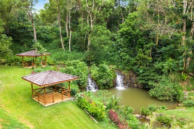 /international/us/hauiki-rd-kapaa-hi-110107803988/