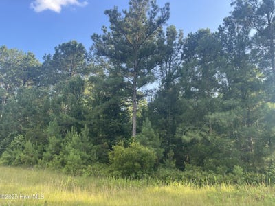 /international/us/61-arant-farm-road-lot-61-merritt-nc-110103779620/