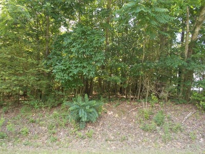 /international/us/wyly-st-camden-tn-110092242588/