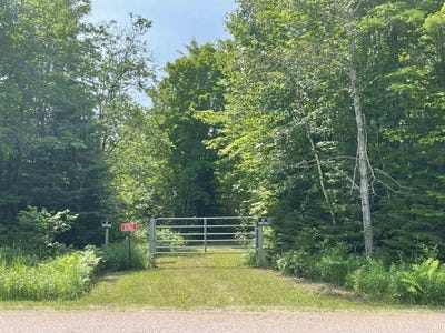 /international/us/e1501-county-road-h-44-trenary-mi-110100772060/