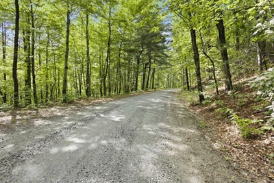 /international/us/430-lakeview-drive-saluda-nc-110101063418/
