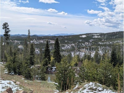 /international/us/540-elkridge-rd-red-feather-lakes-co-110108229547/