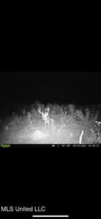 /international/us/highway-12-tchula-ms-110103363883/
