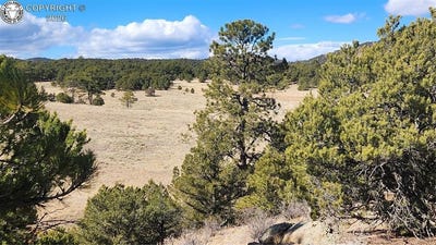 /international/us/311-kit-carson-trail-cotopaxi-co-110105735984/