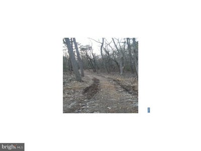 /international/us/0-quinton-marlboro-road-bridgeton-nj-110083602851/