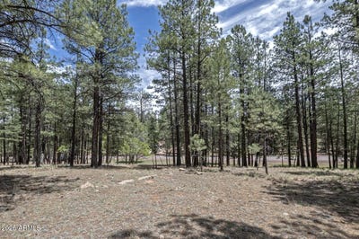 /international/us/2132-w-pine-valley-road-happy-jack-az-110109243425/