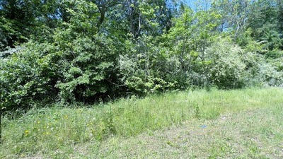/international/us/304-11th-street-south-phenix-city-al-110091700891/