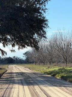 /international/us/carter-road-naylor-ga-110105904159/
