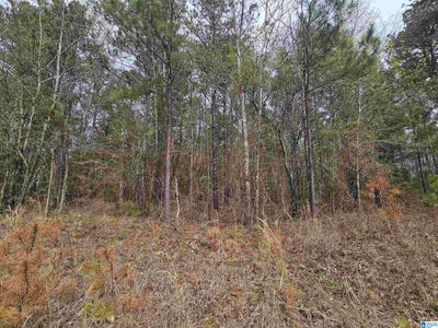 /international/us/352-hunters-crossing-road-odenville-al-110099991639/?lang=it
