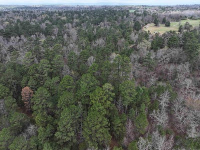/international/us/easement-road-off-polk-road-31-cove-ar-110106430895/