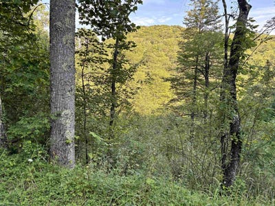 /international/us/2789-salt-lick-road-montrose-wv-110101330724/?lang=zh-tw