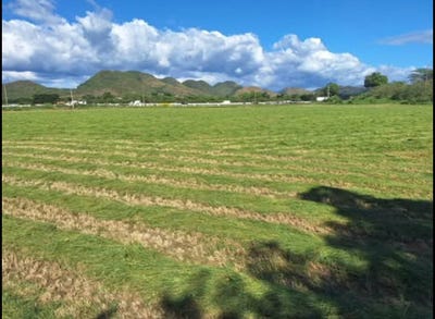 /international/us/-2-121-bo-arenas-guanica-guanica-pr-110101438569/?lang=de