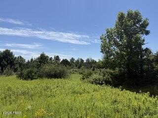 /international/us/kellows-road-honesdale-pa-110119917415/