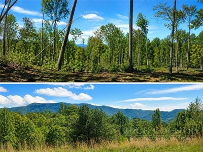 /international/us/lost-ridge-trail-lot-41-vilas-nc-110107778712/