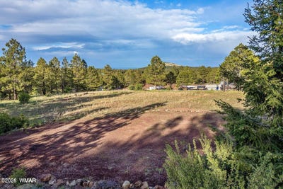 /international/us/34-n-1330-greer-az-110100883151/