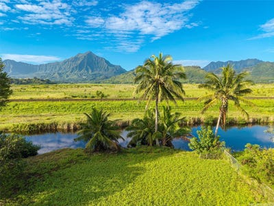 /international/us/221-kihapai-street-kailua-hi-110108478580/