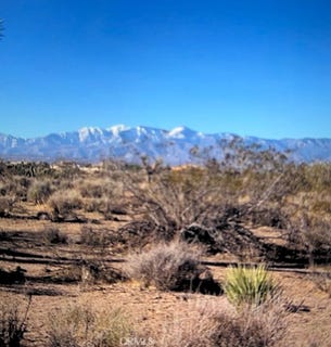/international/us/8888888-smoketree-hesperia-ca-110093638499/