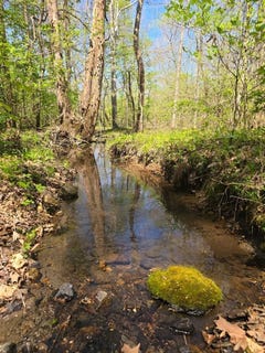 /international/us/4149-hwy-49-lot-1-tennessee-ridge-tn-110107227291/