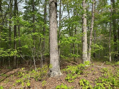 /international/us/lt-5-7-lakefront-drive-clarksville-va-110107382635/