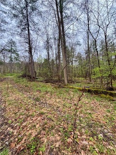 /international/us/2093-scott-road-lindley-ny-110107664505/