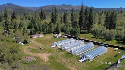 /international/us/71-n-meadow-ln-hayfork-ca-110108443899/