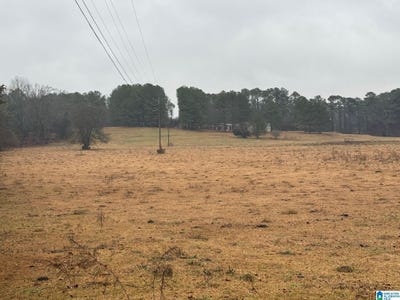 /international/us/0-logan-martin-dam-road-cropwell-al-110097763276/?lang=zh-tw