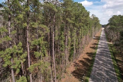 /international/us/tract-b-tbd-pennyroyal-rd-georgetown-sc-110108382083/