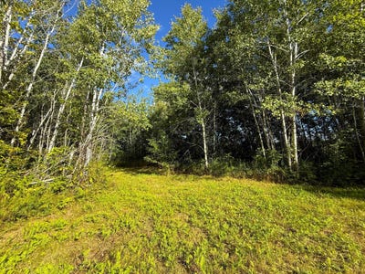 /international/us/12084-county-road-144-brainerd-mn-110110279649/