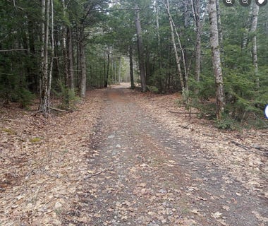 /international/us/005-009a-ridge-school-road-liberty-me-110107603077/