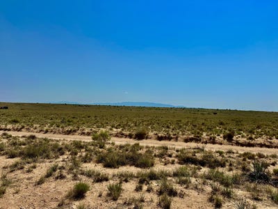 /international/us/rio-rancho-grande-unit-5-bosque-nm-110100924581/