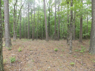 /international/us/00-buckhead-rd-tignall-ga-110098961058/?lang=es