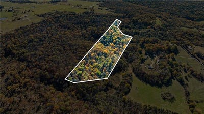 /international/us/18026-n-skylight-mountain-road-lot-32-14-32-canehill-ar-110106502628/