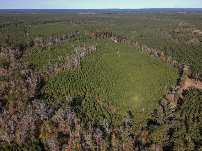 /international/us/county-road-4305-bronson-tx-110105936214/