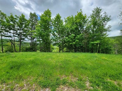 /international/us/77-sperry-young-rd-sabinsville-pa-110108747030/