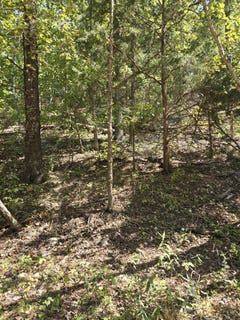 /international/us/county-road-421-birch-tree-mo-110102258352/