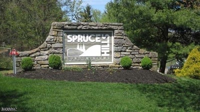 /international/us/1413-spruce-hills-dr-glen-gardner-boro-nj-110108413261/