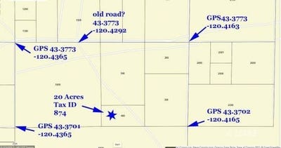 /international/us/lost-forest-lane-christmas-valley-or-110097742441/